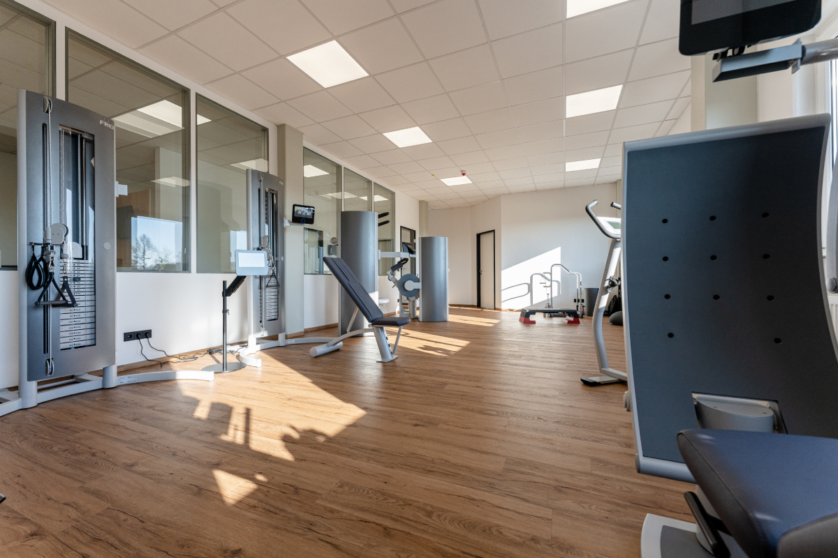 Bilder Galerie